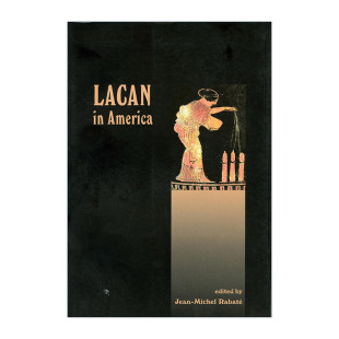 英文原版 Lacan in America Lacanian Clinical Field 拉康在美国的论文集 精神分析 英文版 进口英语原版书籍