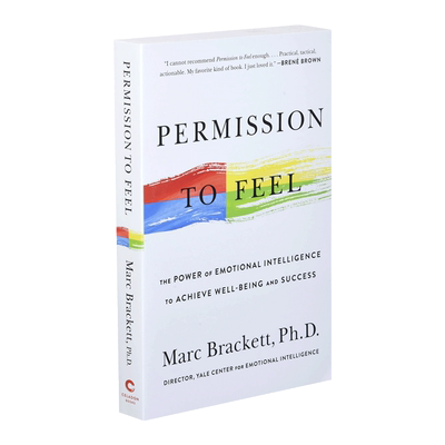 Permission to Feel 释放情感的力量 英文原版励志读物 进口英语书籍