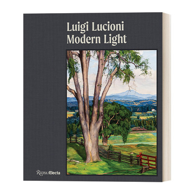 英文原版 Luigi Lucioni Modern Light 意大利裔美国画家 路易吉·卢西奥尼 现代之光 精装艺术画册 David Brody 英文版 进口书籍