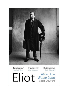 英文原版 Eliot After The Waste Land 荒原之后的T.S.艾略特 艾略特的后半生 罗伯特·克劳福德 英文版 进口英语原版书籍