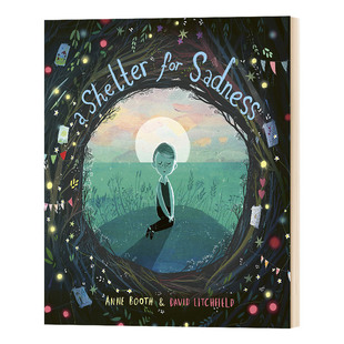 精装 Shelter 英文原版 David 儿童绘本 for 悲伤庇护所 进口英语书籍 Litchfield 插画 Sadness