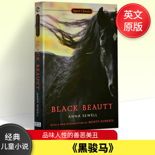 黑骏马英文原版文学小说