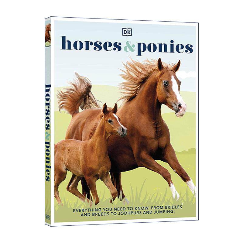 英文原版 Horses and Ponies 马匹和小马百科全书 马鞍马种马靴障碍赛 DK科普百科精装 英文版 进口英语原版书籍