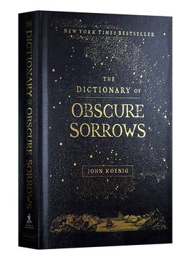 无名悲伤辞典 精装 The Dictionary of Obscure Sorrows 英文原版工具书 进口英语书籍