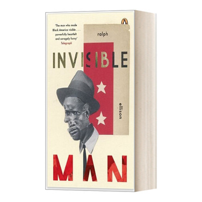 看不见的人InvisibleMan小说