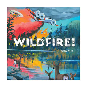 Wildfire!森林大货精装绘本