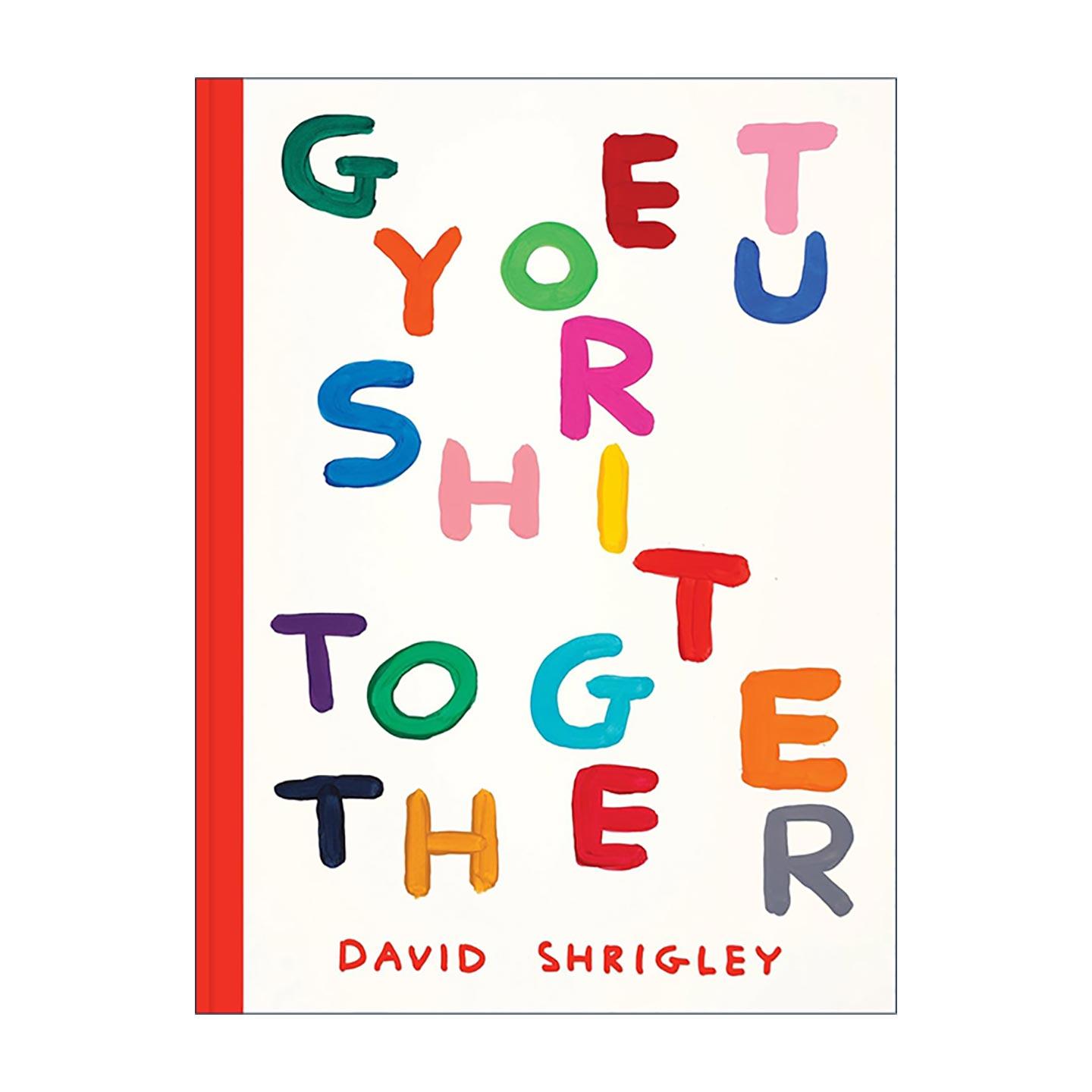 英文原版 Get Your Sh*t Together 得心应手 插画家David Shrigley 英文版 进口英语原版书籍