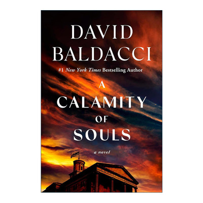 英文原版 A Calamity of Souls 灵魂的灾难 惊悚推理小说 戴维·鲍尔达奇新作 英文版 进口英语原版书籍
