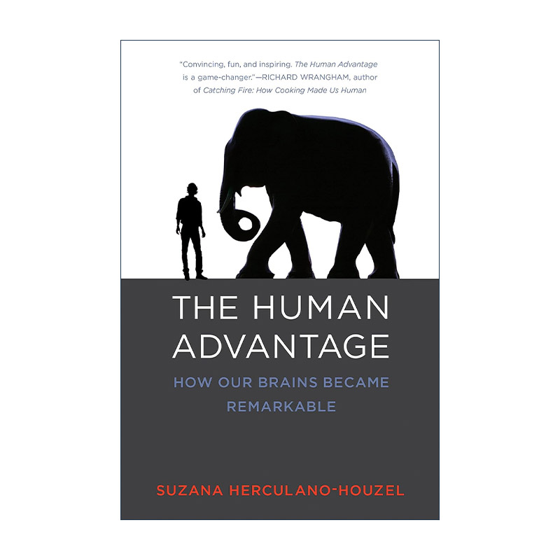 英文原版 The Human Advantage The MIT Press 超强大脑 为什么人类比其他物种更聪明 神经科学 进化 Suzana Herculano-Houzel