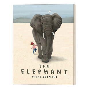 Jenni 书籍 Elephant 进口英语原版 英文版 Desmond插画 儿童绘本 精装 大象 The 英文原版