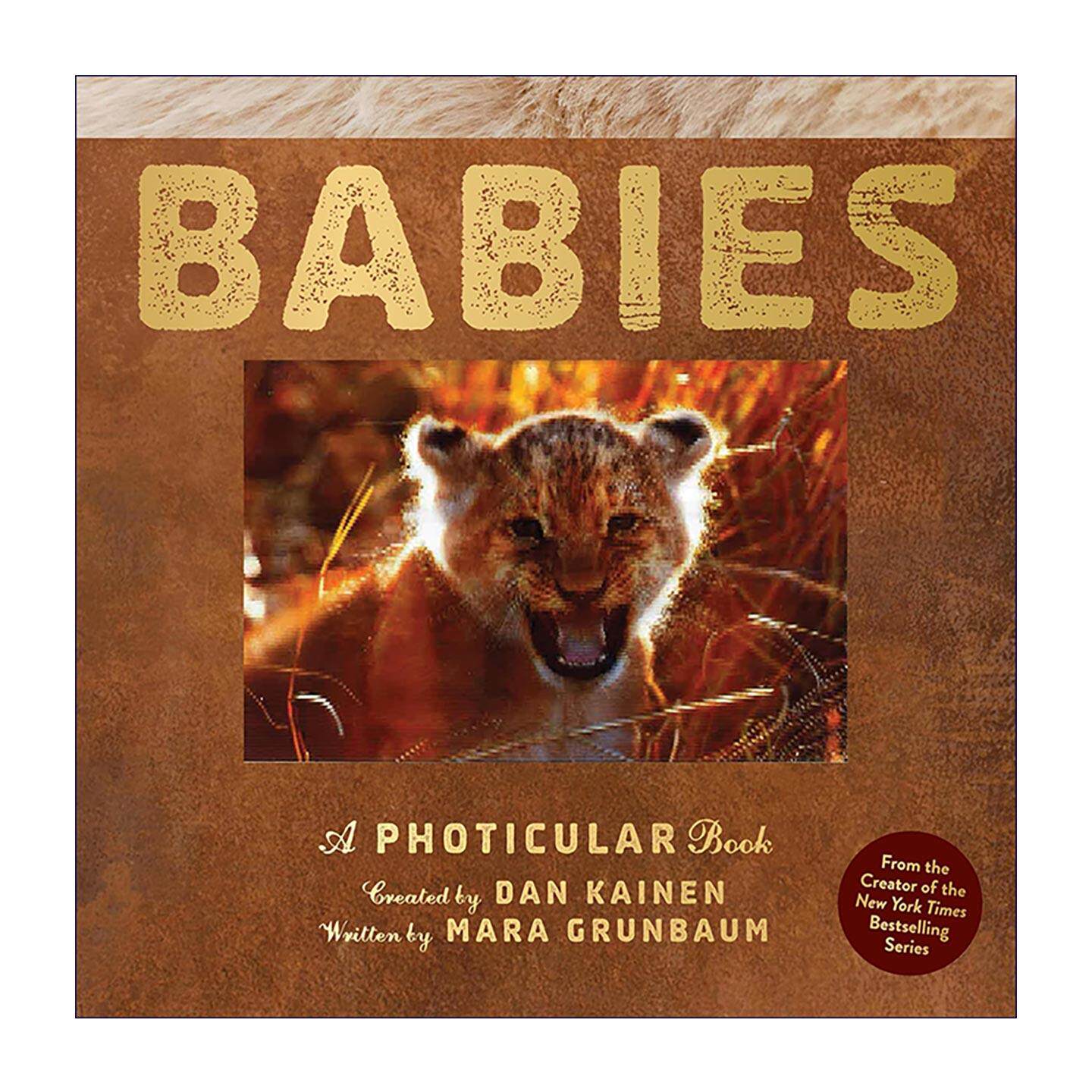 英文原版 Babies 光与影视觉书系列 动物宝宝 3D立体动画书 英文版 进口英语原版书籍