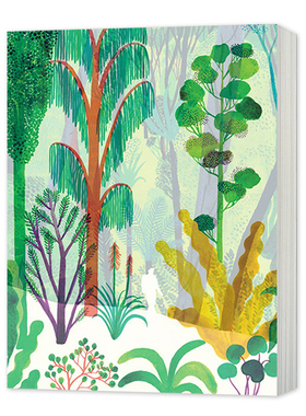 儿童故事艺术绘本 森林  The Forest  英文原版儿童启蒙读物 英文版进口英语书籍 Riccardo Bozzi