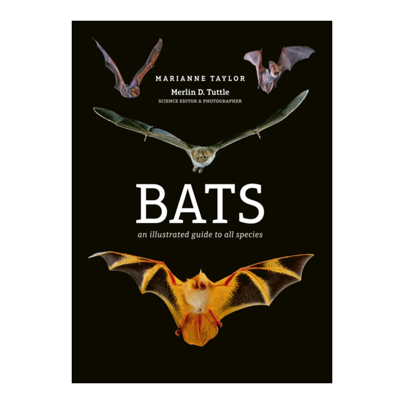 英文原版 Bats An illustrated guide to all species蝙蝠所有物种的图解指南动物科普百科精装英文版进口英语原版书籍