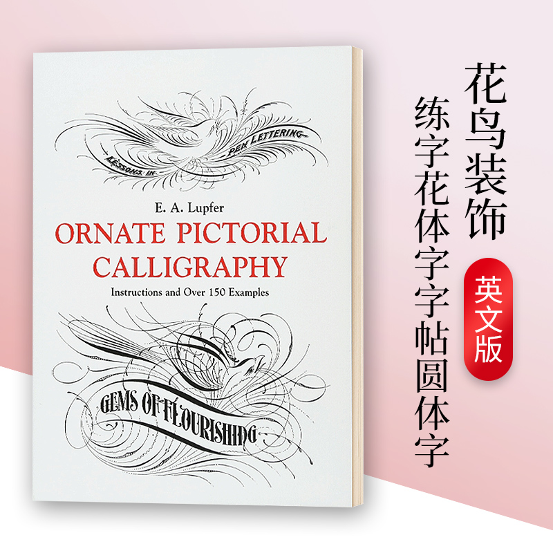 花鸟装饰 练字花体字字帖圆体字 Lupfer Ornate Pictorial Calligraphy 英文原版艺术字体读物 进口英语书籍