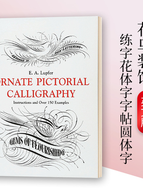 花鸟装饰 练字花体字字帖圆体字 Lupfer Ornate Pictorial Calligraphy 英文原版艺术字体读物 进口英语书籍
