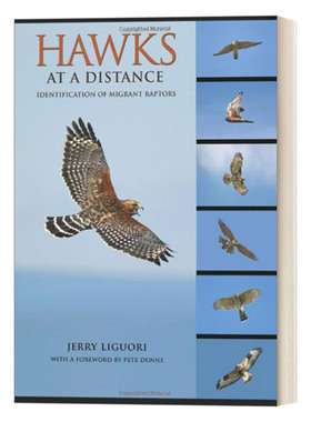 英文原版 Hawks at a Distance Identification of Migrant Raptors 远处的鹰 迁徙猛禽的识别 鸟类指南 Jerry Liguori 英文版
