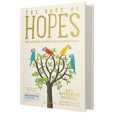 希望之书精装英文原版儿童小说