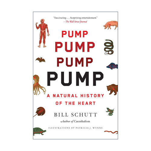 英文原版 Pump 疯狂的心脏 生物学退休教授Bill Schutt 英文版 进口英语原版书籍