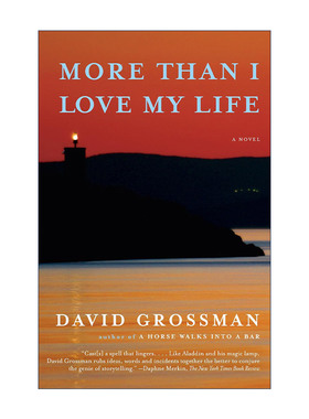 英文原版 More Than I Love My Life (Vintage International) 比爱我的生命更多 布克奖提名 David Grossman 英文版