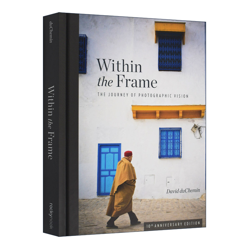 Within the Frame 进口艺术 摄影视觉之旅 十周年纪念版