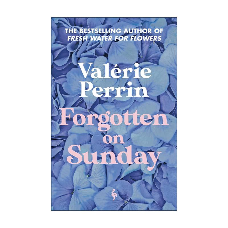 英文原版 Forgotten on Sunday 星期天被遗忘的人 法国推理小说女王瓦莱莉·佩兰 墓园的花要常换水作者 英文版 进口英语原版书籍