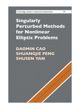 英文原版 Singularly Perturbed Methods for Nonlinear Elliptic Problems 用于非线性椭圆问题的奇异摄动法 精装 进口英语书籍