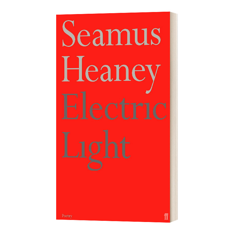 电灯光ElectricLight英文原版