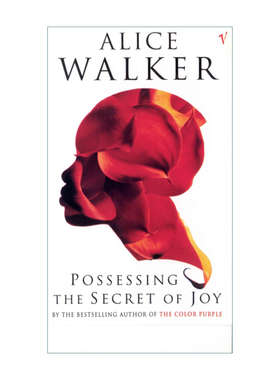 英文原版小说 Possessing The Secret Of Joy 拥有快乐的秘密 丽丝·沃克 英文版 进口英语原版书籍