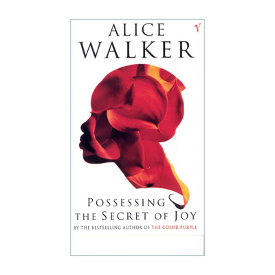 英文原版小说 Possessing The Secret Of Joy 拥有快乐的秘密 丽丝·沃克 英文版 进口英语原版书籍