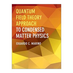 英文原版 Quantum Field Theory Approach to Condensed Matter Physics 量子场论方法在凝聚态物理中的应用 进口英语原版书籍