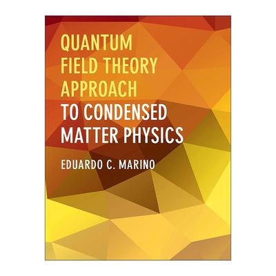 英文原版 Quantum Field Theory Approach to Condensed Matter Physics 量子场论方法在凝聚态物理中的应用 进口英语原版书籍