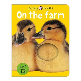 the Bright Touch 英文版 书籍 英文原版 纸板书 Feel Baby 农场里 Farm 进口英语原版 聪明宝宝触摸书