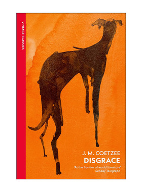 英文原版 Disgrace 耻 JM库切 企鹅Vintage红脊经典系列 英文版 进口英语原版书籍