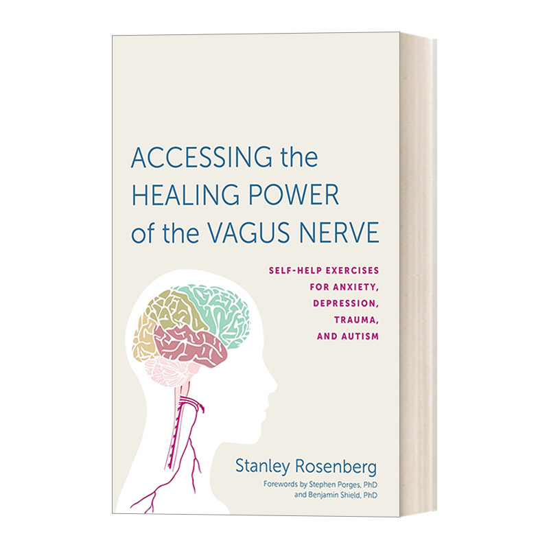 英文原版 Accessing the Healing Power of the Vagus Nerve 探索迷走神经的治愈能力 英文版 进口英语原版书籍