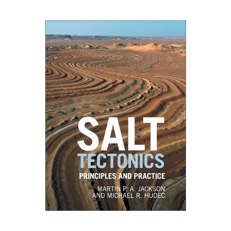 英文原版 Salt Tectonics 盐构造 精装 Martin P. A. Jackson 英文版 进口英语原版书籍