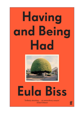 英文原版 Having and Being Had 拥有与被拥有 尤拉·比斯 英文版 进口英语原版书籍