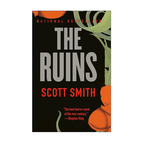 英文原版 The Ruins 恐怖废墟 同名电影原著小说 Scott Smith 英文版 进口英语原版书籍