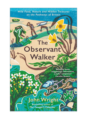 英文原版 The Observant Walker 观察行者 英国之路上的野生食物 自然和隐藏的宝藏 英文版 进口英语原版书籍