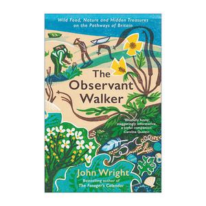 英文原版 The Observant Walker 观察行者 英国之路上的野生食物 自然和隐藏的宝藏 英文版 进口英语原版书籍