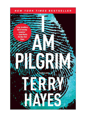 英文原版 I Am Pilgrim 朝圣者 悬疑故事  泰瑞·海耶斯 英文版 进口英语原版书籍