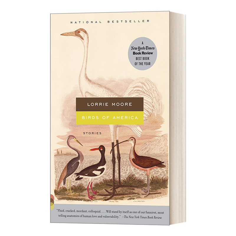 英文原版小说 Birds of America Stories 美国鸟人 纽约时报年度好书 美国国家书评人协会奖入围 Lorrie Moore 英文版 进口英语书