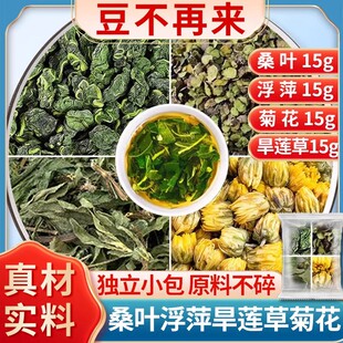 桑叶浮萍旱莲草菊花茶包各15克霜桑叶墨旱莲芯草胎菊高品质原料