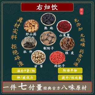 右归饮 熟地炒山药山茱萸枸杞子甘草杜仲桂皮制付子高品质原料