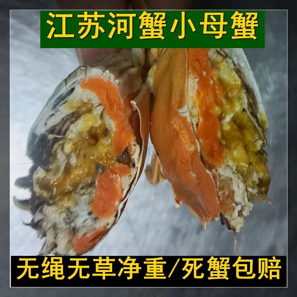 小螃蟹活的老头蟹江苏河蟹大闸蟹鲜活无绳净重公蟹母蟹1斤混搭