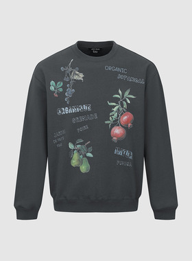 UR国内代购2025秋季男装简约做旧水果印花超宽松卫衣UMA450017