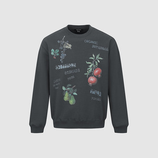 UR国内代购2025秋季男装简约做旧水果印花超宽松卫衣UMA450017