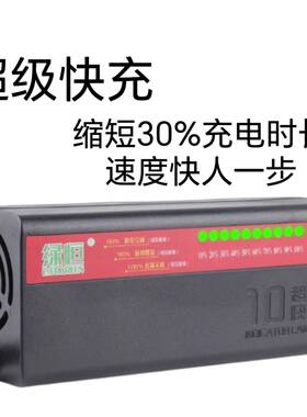 绿恒10灯智能三轮四轮两用充电器快充脉冲修复防阻燃充满自动关机