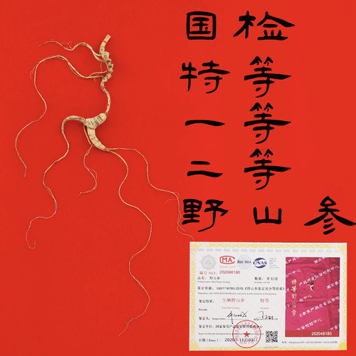国检一等礼盒装野山参