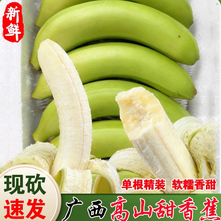 [放软吃]广西高山甜香蕉绿皮香蕉精选单根自然熟软糯香甜新鲜水果