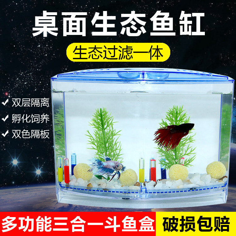 泰国斗鱼桌面双格斗鱼盒观赏鱼缸小型斗鱼缸饲养隔离繁殖孵化套装